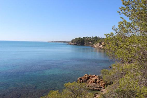 Casita De Pescadores Con Vista Al Puerto Leilighet L'Ametlla de Mar Eksteriør bilde