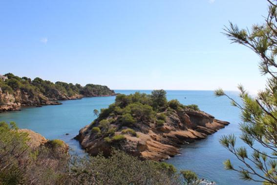 Casita De Pescadores Con Vista Al Puerto Leilighet L'Ametlla de Mar Eksteriør bilde